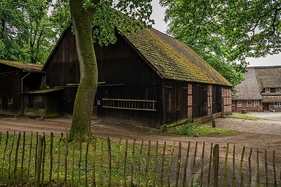 Vakantieappartement Gezinsvakantie Bispingen