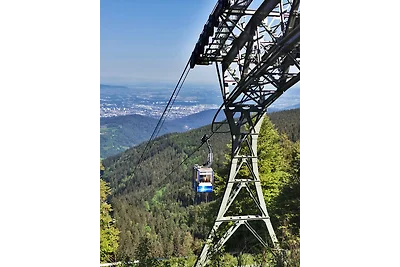 Appartamento Vacanza con famiglia Feldberg