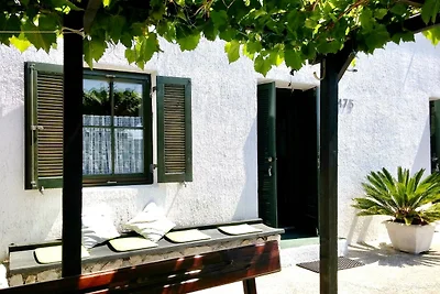 Holiday home relaxing holiday Biograd na Moru