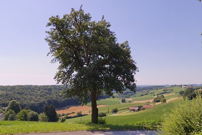 Rein ins Thermenland