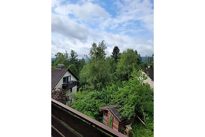 Vakantieappartement Gezinsvakantie Falkau