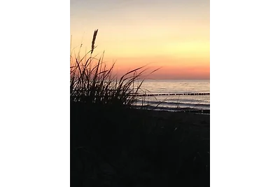 Baltic Sky