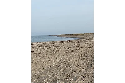 Ferienhaus Strandliebe ( FH3)