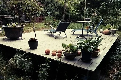 Vakantieappartement Gezinsvakantie Freilingen (Blankenheim)