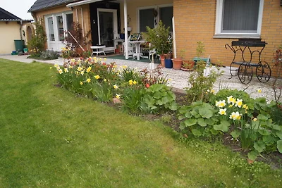 Appartement Vacances avec la famille Dahme