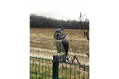 Schöne Auszeit (RE14)