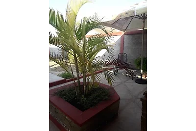 Hostal ALCIDES Appartement 2