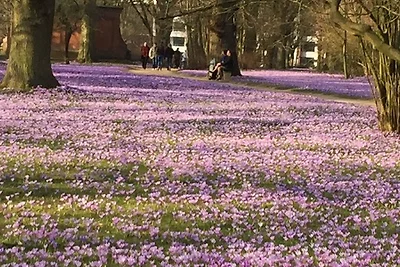 Ferienwohnung Wachter