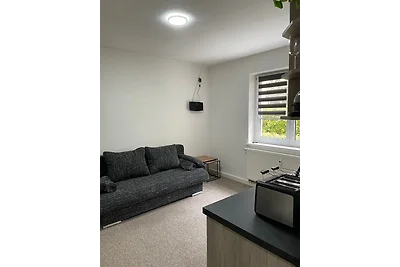 Appartamento Vacanza con famiglia Plauen