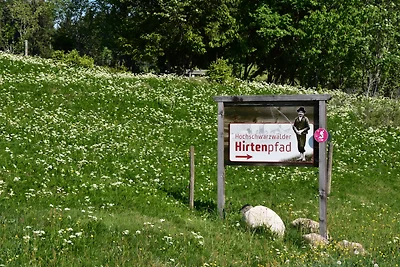 Ferienhaus Anita - Wohnung