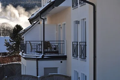 Vakantieappartement Gezinsvakantie Willingen