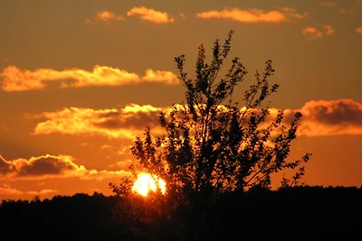 Ferienhaus Heisser Sand, Whg 2