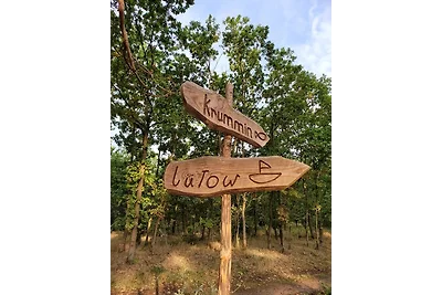 Ostsee Ferienhaus Usedom