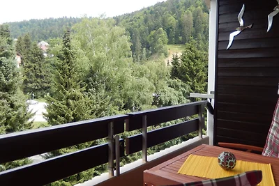 Vakantieappartement Gezinsvakantie Todtmoos