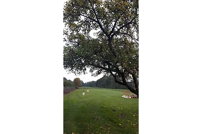 Ferienwohnung Elfriede