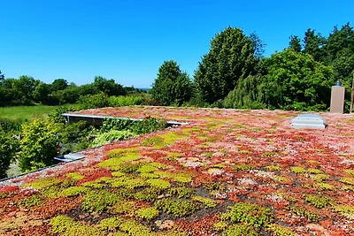 Ferienwohnung Hafenblick Ferienhof