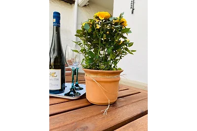 "Cuvée" Magnum