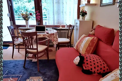 Appartamento Vacanza con famiglia Bad Harzburg