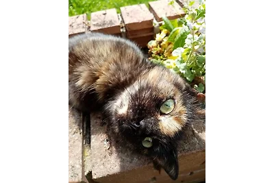 Ökoferien " Am Hilkenberg" OG