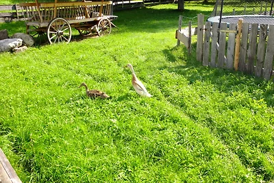 Vakantieappartement Gezinsvakantie Burggen