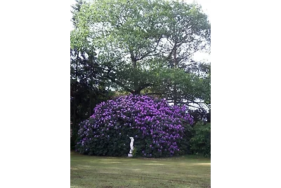 Kleines Ferienhaus bei Lüneburg