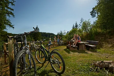 Appartamento Vacanza con famiglia Titisee-Neustadt