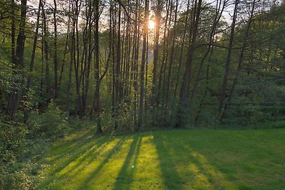 Vakantiehuis Ontspannende vakantie Bad Lauterberg im Harz