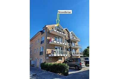 Meeresblick Strandbrise