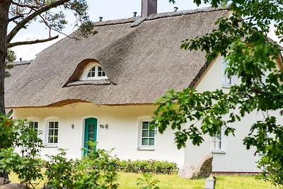 Haus am Cölpinsee by Pharus
