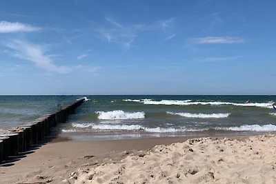 Ferienhaus Storchenwiese, Wald
