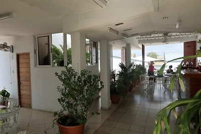 Casa Amigos de Barcelo Appartement
