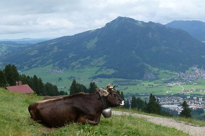 Vakantieappartement Gezinsvakantie Ofterschwang