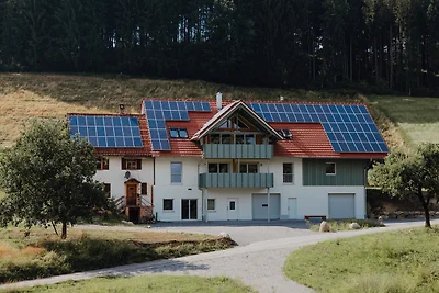 BodenSEE Apartment Neukirch