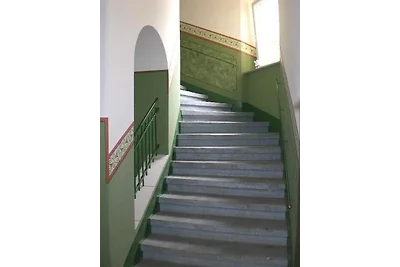 Fewo Dresden Neustadt - zentral &