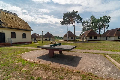 apartman za odmor Obiteljski odmor Ummanz