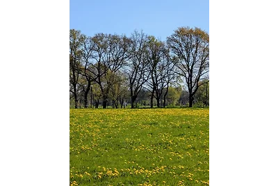 Traumkrone Ferienwohnungen -