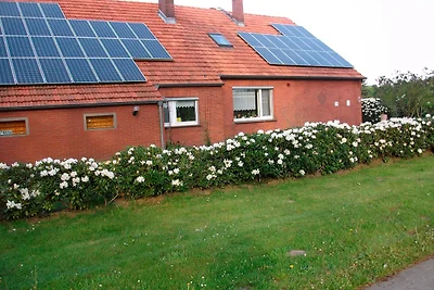 Haus Flicka