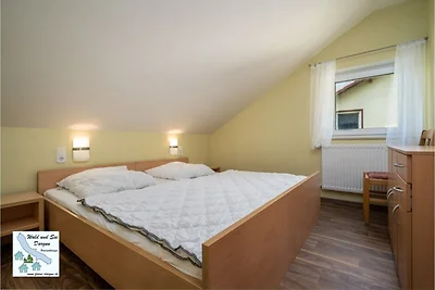 Wald und See Dargun 16b