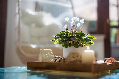 Vakantieappartement Gezinsvakantie Bad Wünnenberg