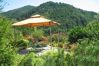 Appartamento Vacanza con famiglia Gutach