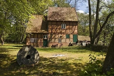 Mühlenhof Soderstorf Wohnung B