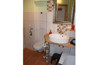 Seestern am Hafen - ABC139