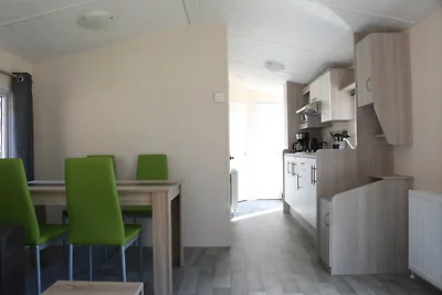 Chalet Schwarzkopfmöwe am