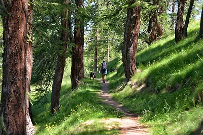 Forsthaus am Wald mit Whirlpool und