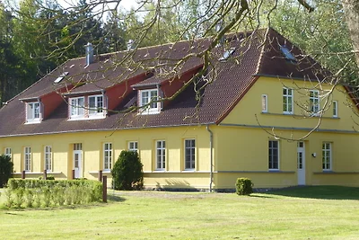 Gut Rattelvitz, Galerie F WEST