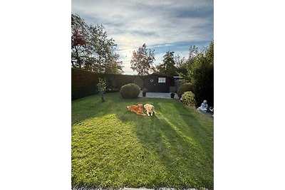 Moderner gepflegter Nr. 142 ruhiger