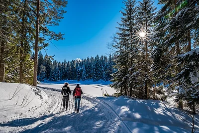 Vakantieappartement Gezinsvakantie Todtmoos