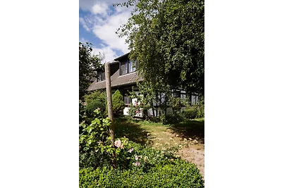 4-Raum Apartment bis 6 Pers. (2.2)