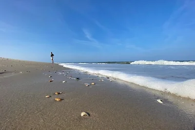 Nr. 88 Neues, ruhiges