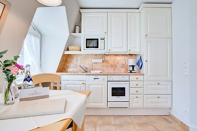 Strandflieder, App. 13